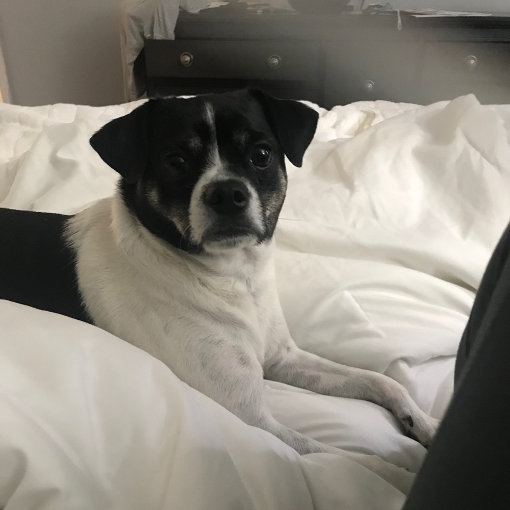 Meet your Posher, Lisa